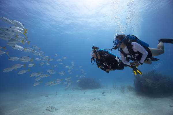 Read more about the article Τι ειναι η αυτόνομη κατάδυση(Scuba Diving);